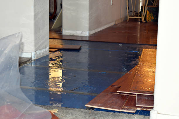 Professional Sewage Cleanup technician working in Jamestown, RI